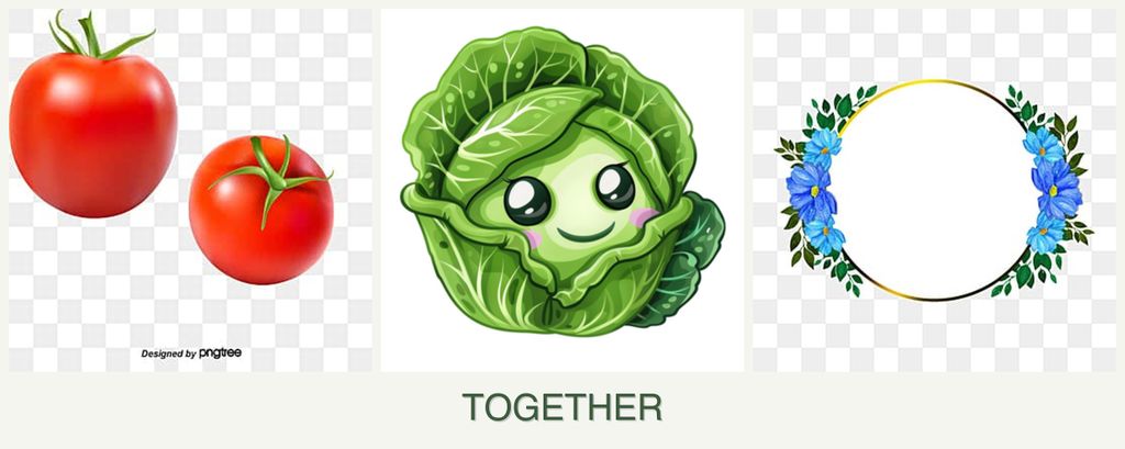 Can you plant tomatoes, cabbage and zinnias together?