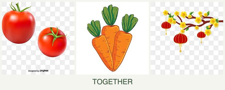 Can you plant tomatoes, carrots and apricots together?