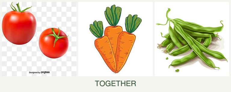 Can you plant tomatoes, carrots and beans together?
