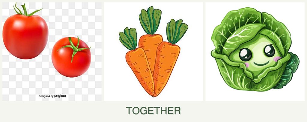 Can you plant tomatoes, carrots and cabbage together?