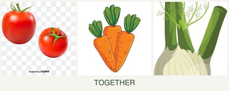 Can you plant tomatoes, carrots and fennel together?