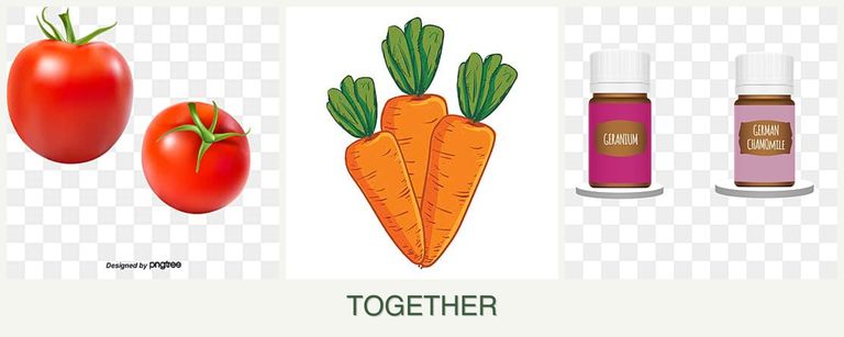 Can you plant tomatoes, carrots and geraniums together?