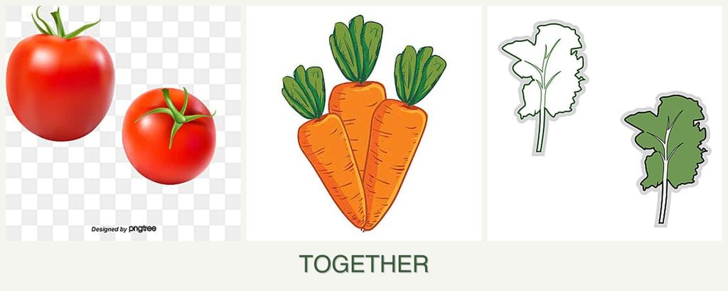 Can you plant tomatoes, carrots and kale together?
