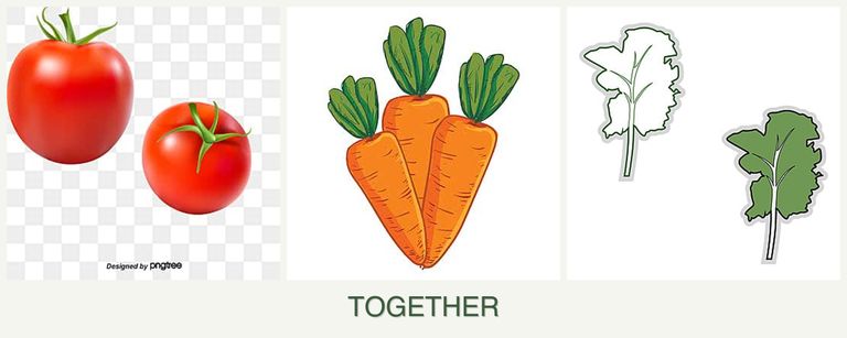 Can you plant tomatoes, carrots and kale together?