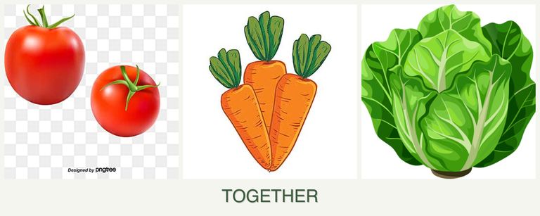 Can you plant tomatoes, carrots and lettuce together?