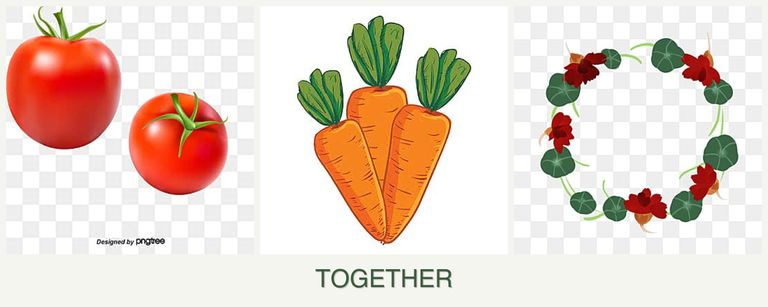 Can you plant tomatoes, carrots and nasturtiums together?
