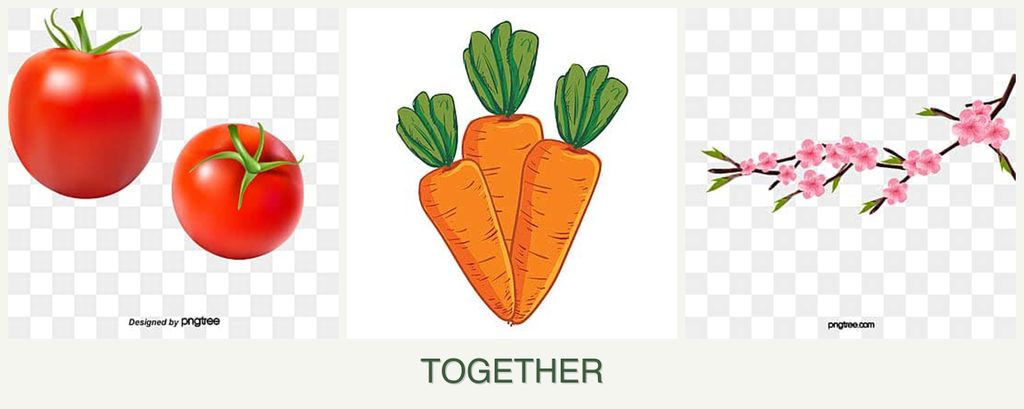 Can you plant tomatoes, carrots and peaches together?