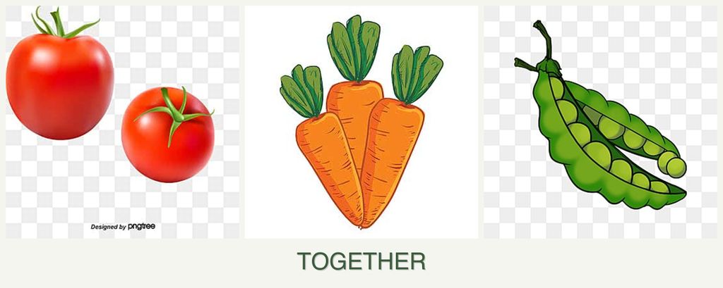 Can you plant tomatoes, carrots and peas together?