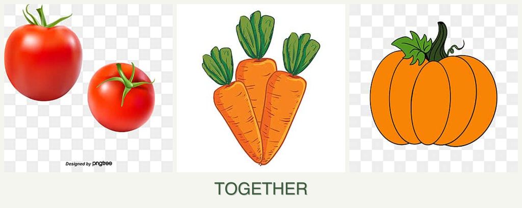 Can you plant tomatoes, carrots and pumpkin together?