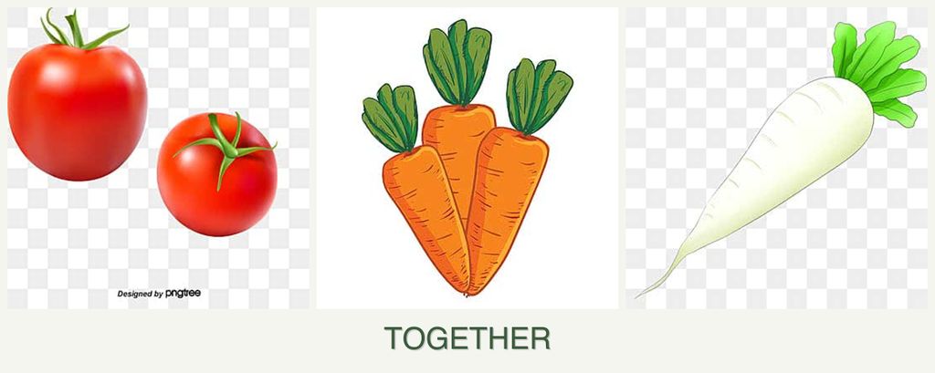 Can you plant tomatoes, carrots and radishes together?