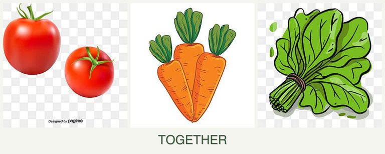 Can you plant tomatoes, carrots and spinach together?
