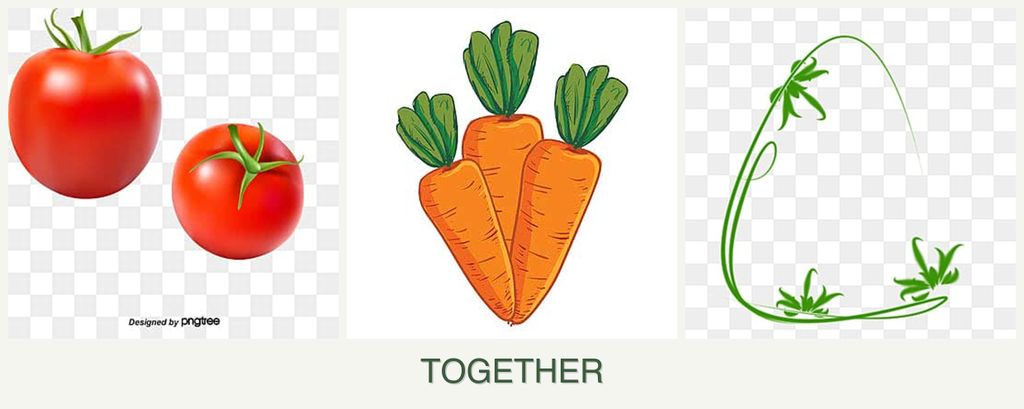 Can you plant tomatoes, carrots and tarragon together?
