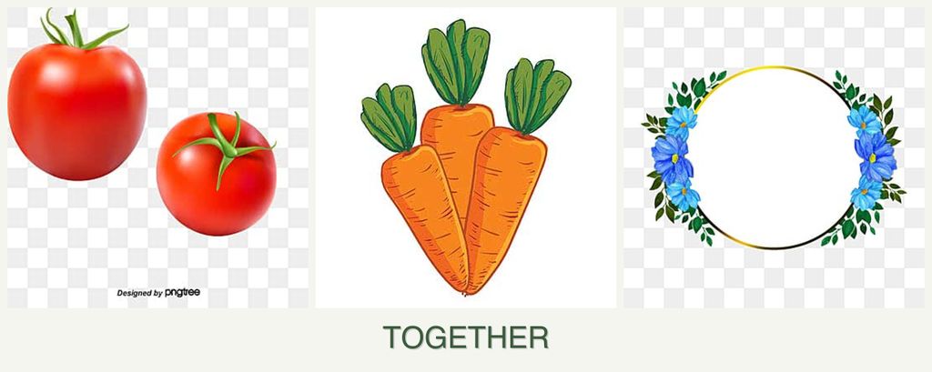 Can you plant tomatoes, carrots and zinnias together?
