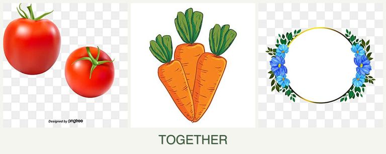 Can you plant tomatoes, carrots and zinnias together?