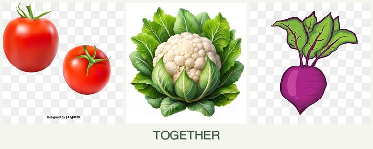Can you plant tomatoes, cauliflower and beets together?