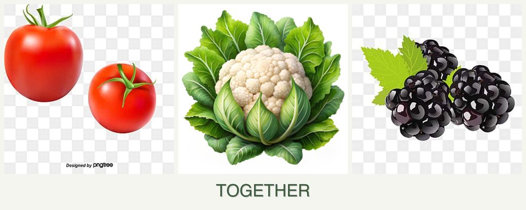 Can you plant tomatoes, cauliflower and blackberries together?