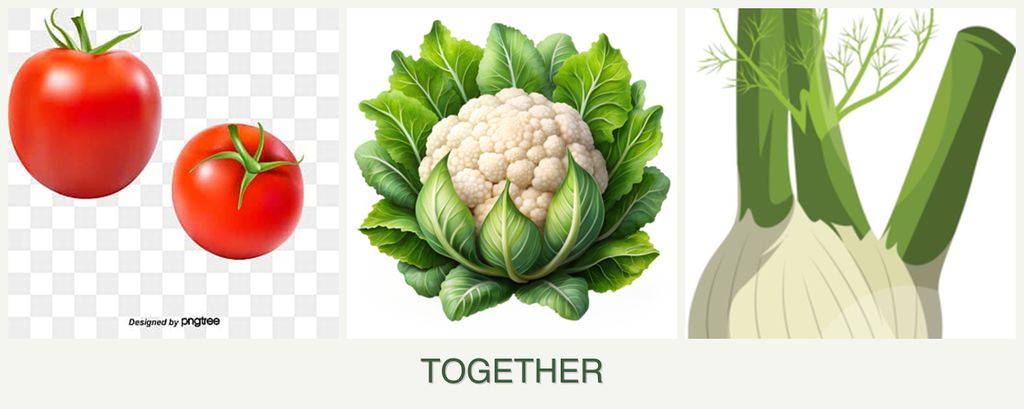 Can you plant tomatoes, cauliflower and fennel together?