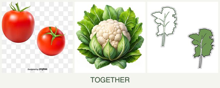 Can you plant tomatoes, cauliflower and kale together?