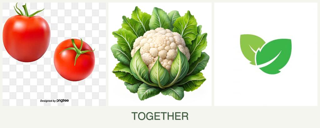 Can you plant tomatoes, cauliflower and mint together?