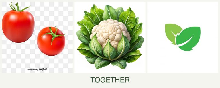 Can you plant tomatoes, cauliflower and mint together?