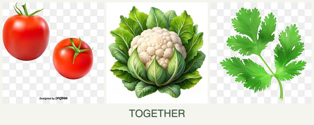 Can you plant tomatoes, cauliflower and parsley together?