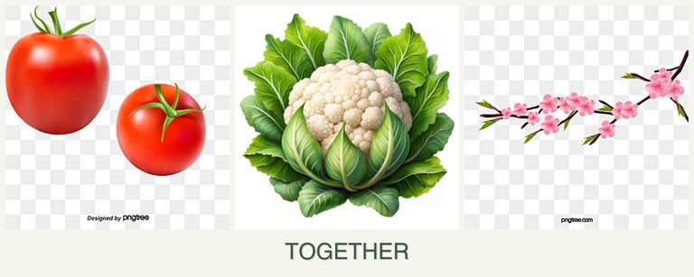 Can you plant tomatoes, cauliflower and peaches together?