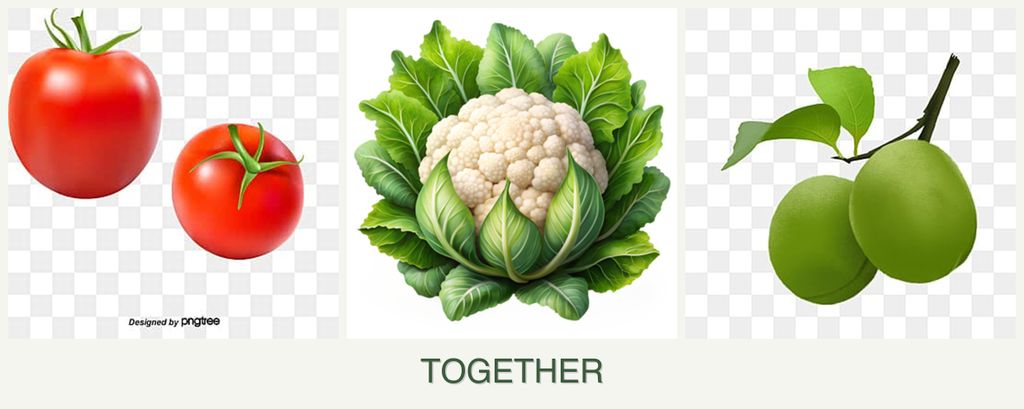 Can you plant tomatoes, cauliflower and plums together?