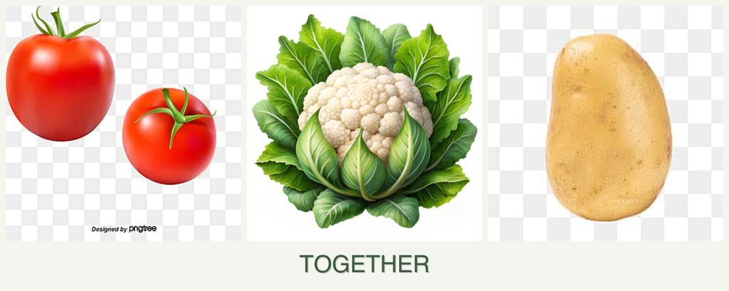 Can you plant tomatoes, cauliflower and potatoes together?