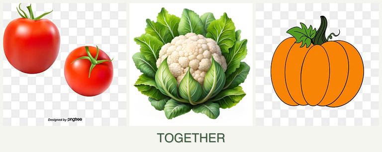 Can you plant tomatoes, cauliflower and pumpkin together?
