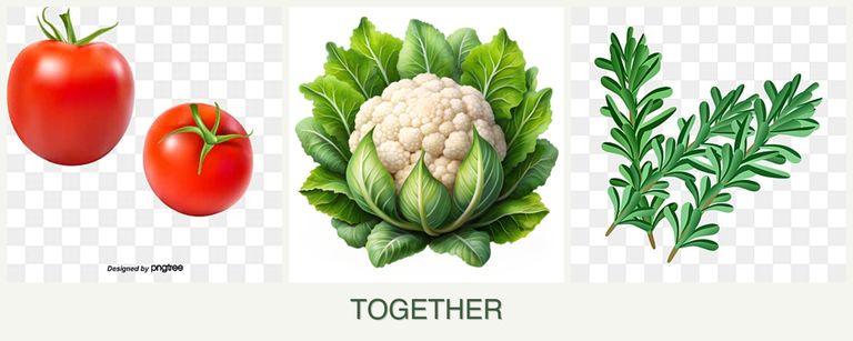 Can you plant tomatoes, cauliflower and rosemary together?