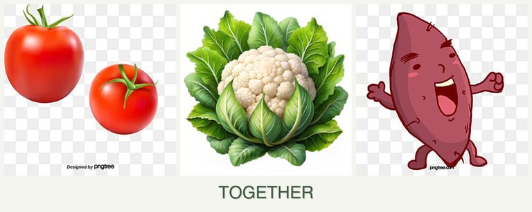 Can you plant tomatoes, cauliflower and sweet potatoes together?