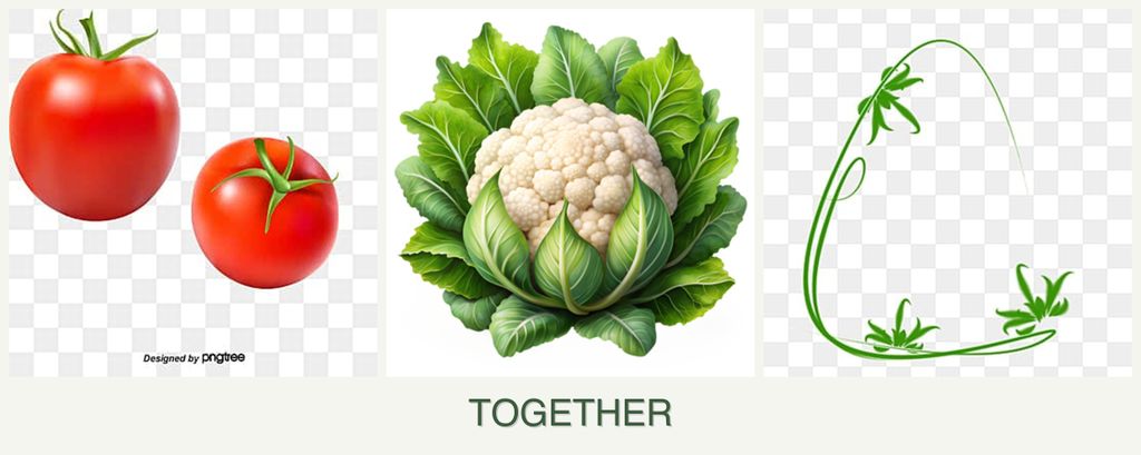 Can you plant tomatoes, cauliflower and tarragon together?