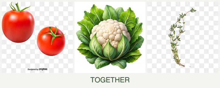Can you plant tomatoes, cauliflower and thyme together?