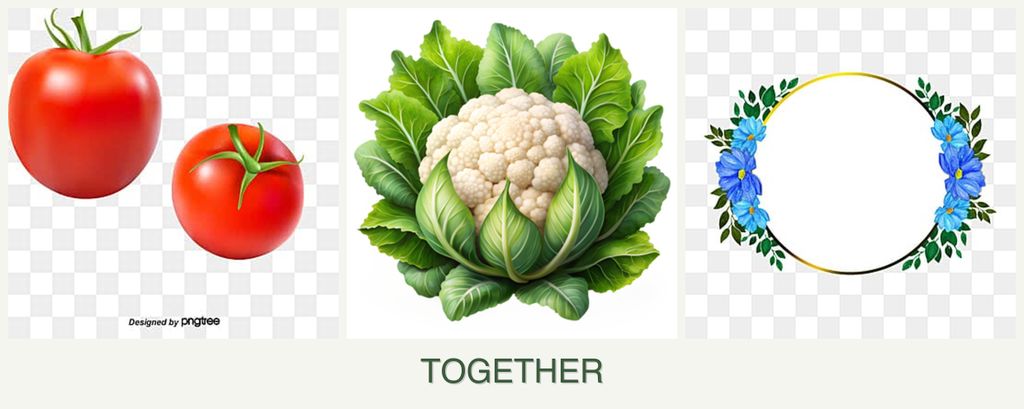 Can you plant tomatoes, cauliflower and zinnias together?