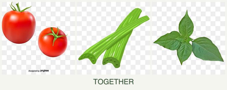 Can you plant tomatoes, celery and basil together?