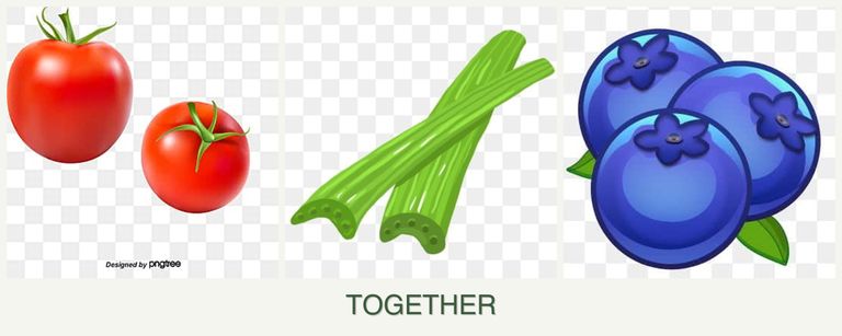 Can you plant tomatoes, celery and blueberries together?
