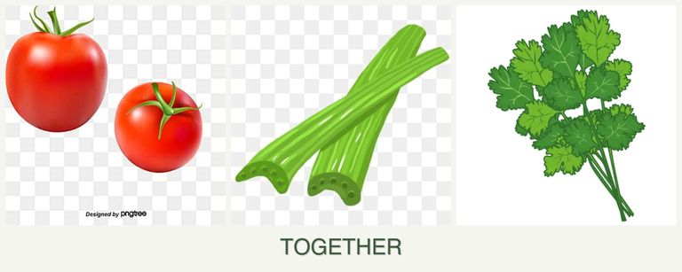 Can you plant tomatoes, celery and cilantro together?