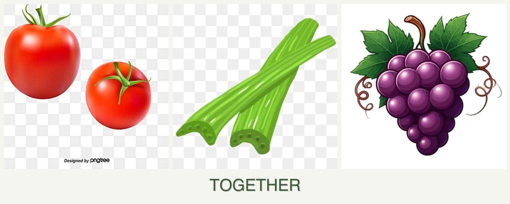 Can you plant tomatoes, celery and grapes together?