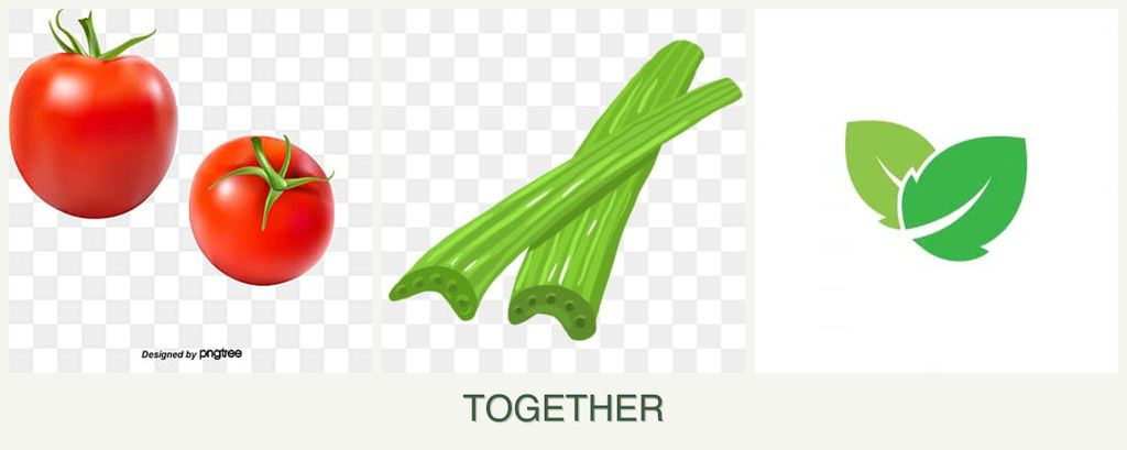 Can you plant tomatoes, celery and mint together?