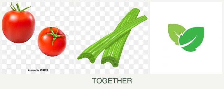Can you plant tomatoes, celery and mint together?
