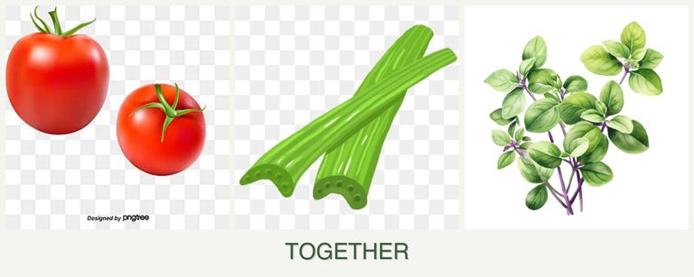 Can you plant tomatoes, celery and oregano together?