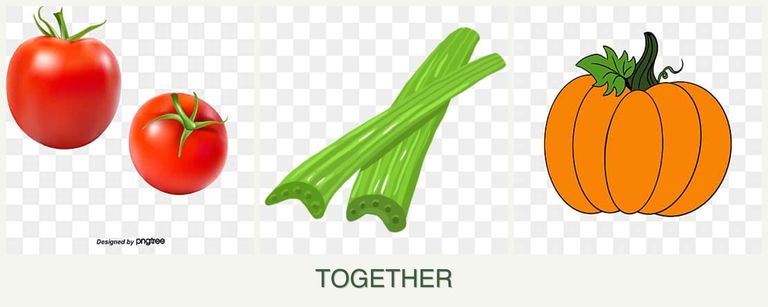Can you plant tomatoes, celery and pumpkin together?