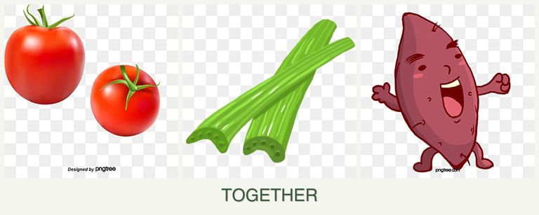 Can you plant tomatoes, celery and sweet potatoes together?