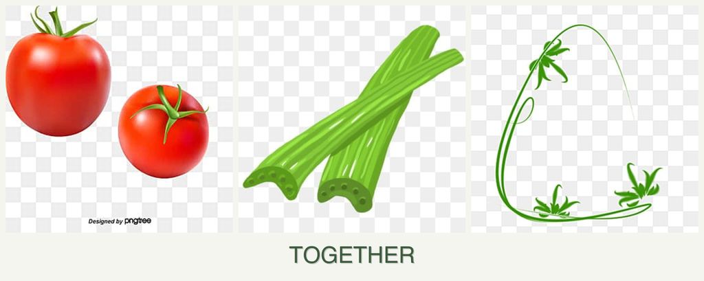 Can you plant tomatoes, celery and tarragon together?