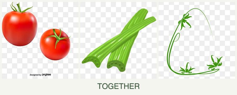 Can you plant tomatoes, celery and tarragon together?