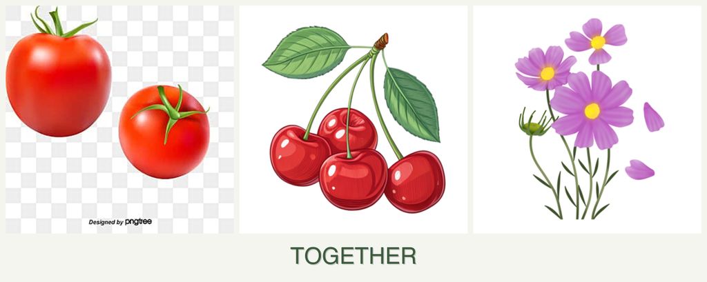 Can you plant tomatoes, cherries and cosmos together?