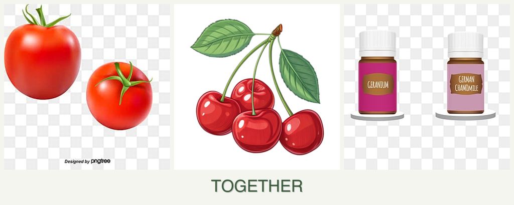 Can you plant tomatoes, cherries and geraniums together?