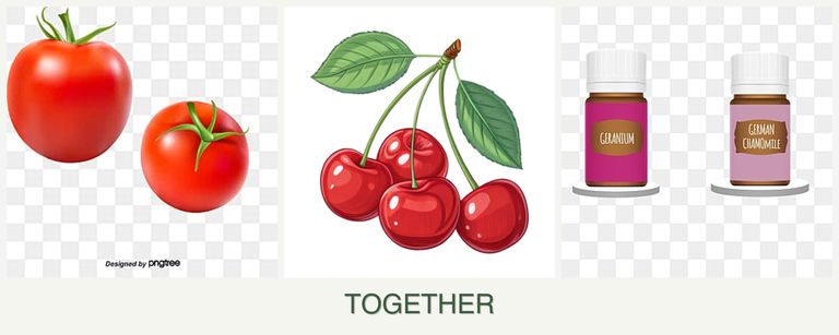 Can you plant tomatoes, cherries and geraniums together?