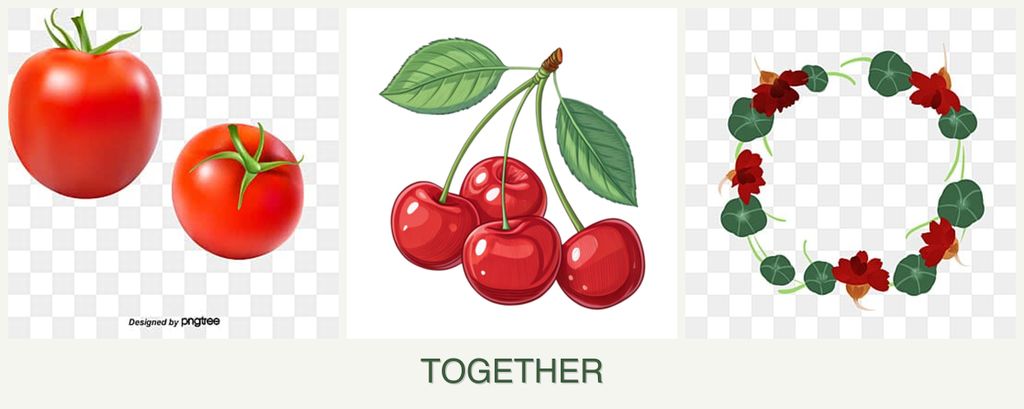 Can you plant tomatoes, cherries and nasturtiums together?