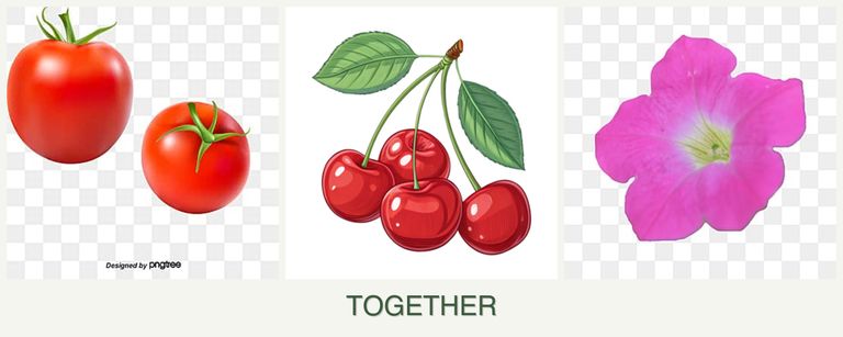 Can you plant tomatoes, cherries and petunias together?